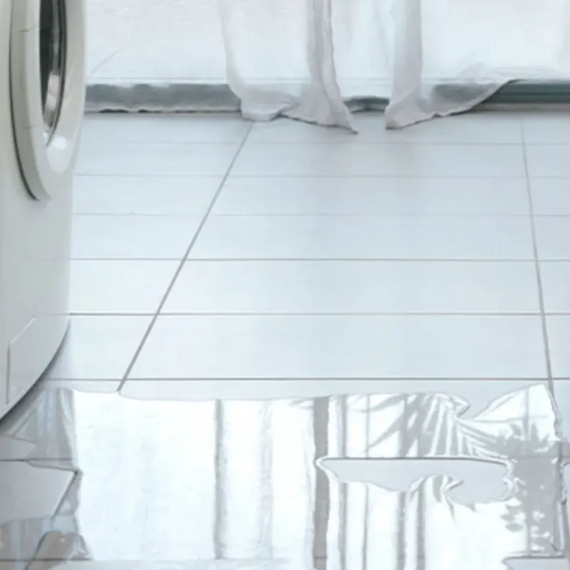 Appliance Leak Cleanup in Mascotte, FL